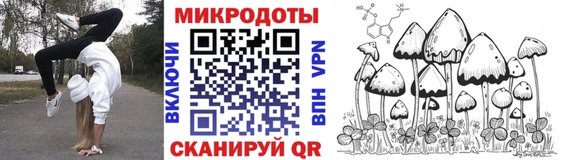 Галлюциногенные грибы Psilocybine cubensis  Купить где  Малаховка 